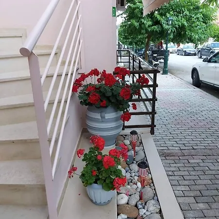 Modern Kallithea 1